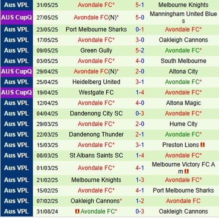 Nhận định Melbourne Victory Youth vs Avondale FC 17h30 ngày 96 (VĐ bang Victoria 2025) 3