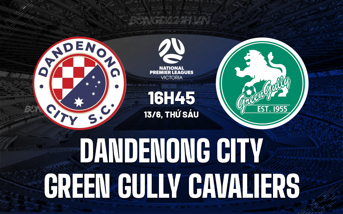Dandenong City vs Green Gully Cavaliers