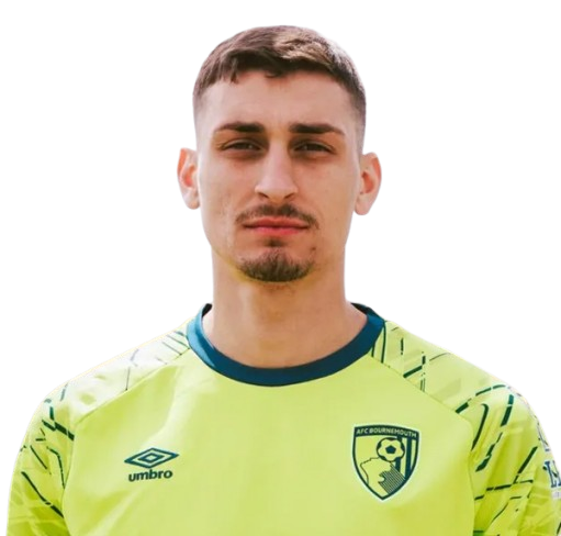 Djordje Petrovic