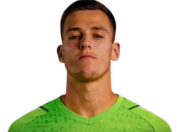 Radek Vitek