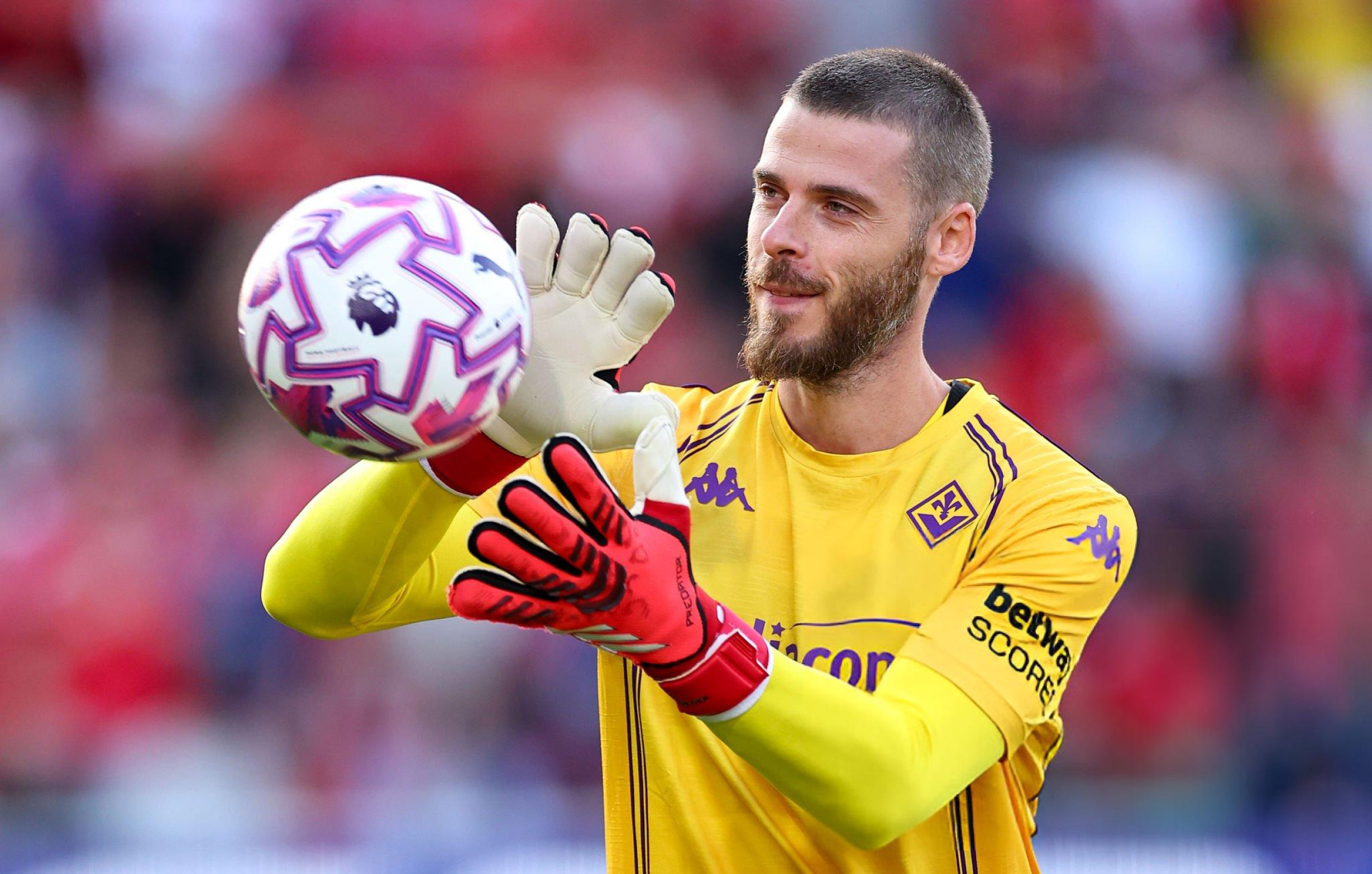 David de Gea Chưa tàn những giấc mơ 1 David de Gea Chưa tàn những giấc mơ 1