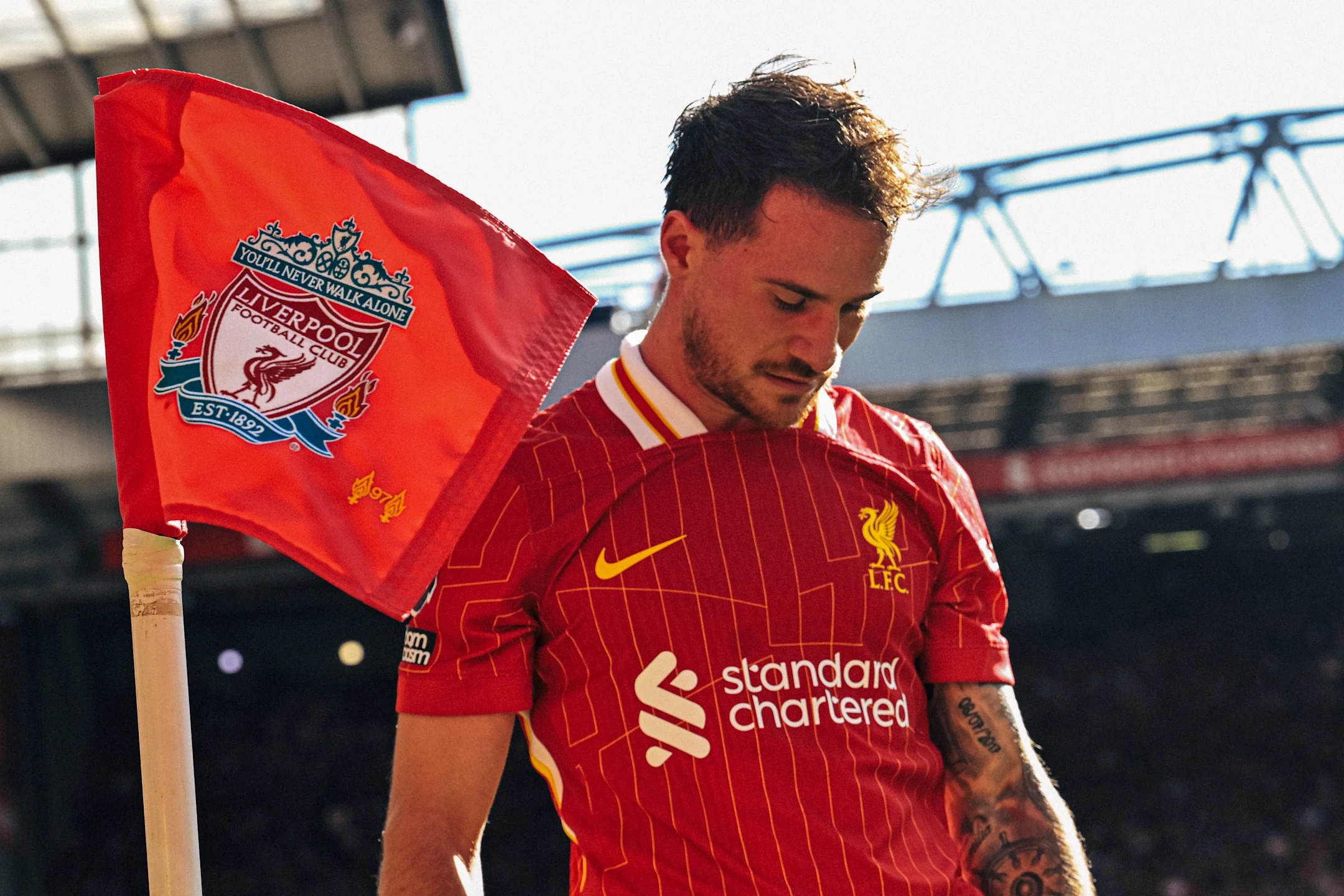 Alexis Mac Allister Hãy học cách chịu đựng, rồi điều tốt đẹp sẽ tới 10 Alexis Mac Allister Hãy học cách chịu đựng, rồi điều tốt đẹp sẽ tới 10