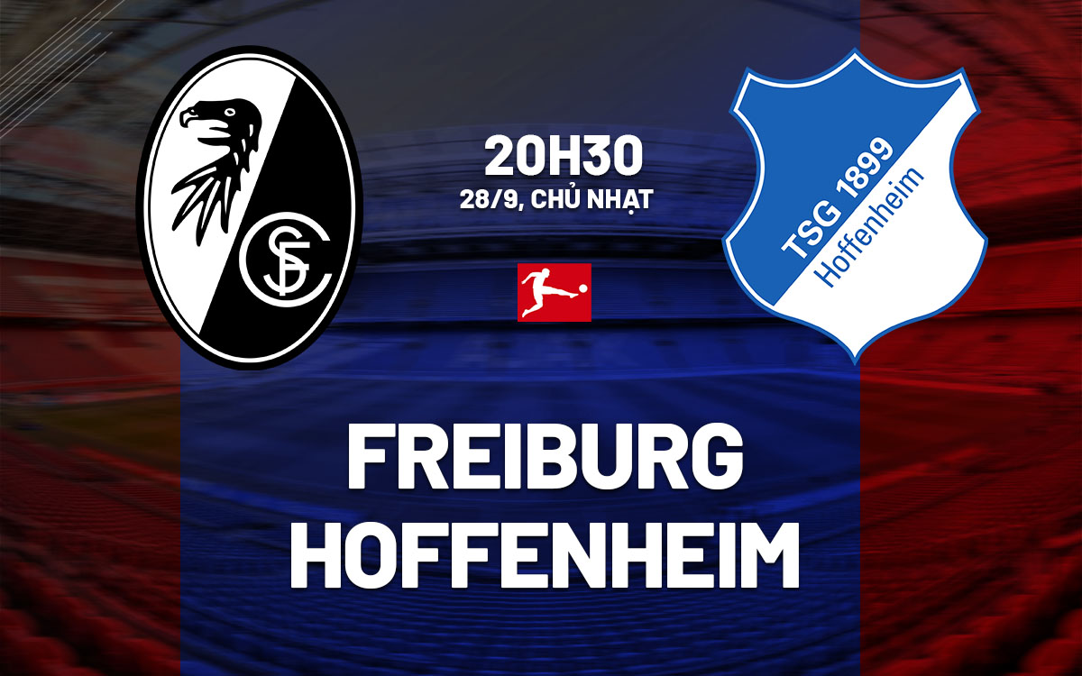 nhan dinh bong da du doan Freiburg vs Hoffenheim vdqg duc bundesliga hom nay nhan dinh bong da du doan Freiburg vs Hoffenheim vdqg duc bundesliga hom nay