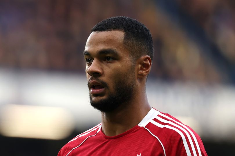 Liverpool Cody Gakpo Liverpool Cody Gakpo