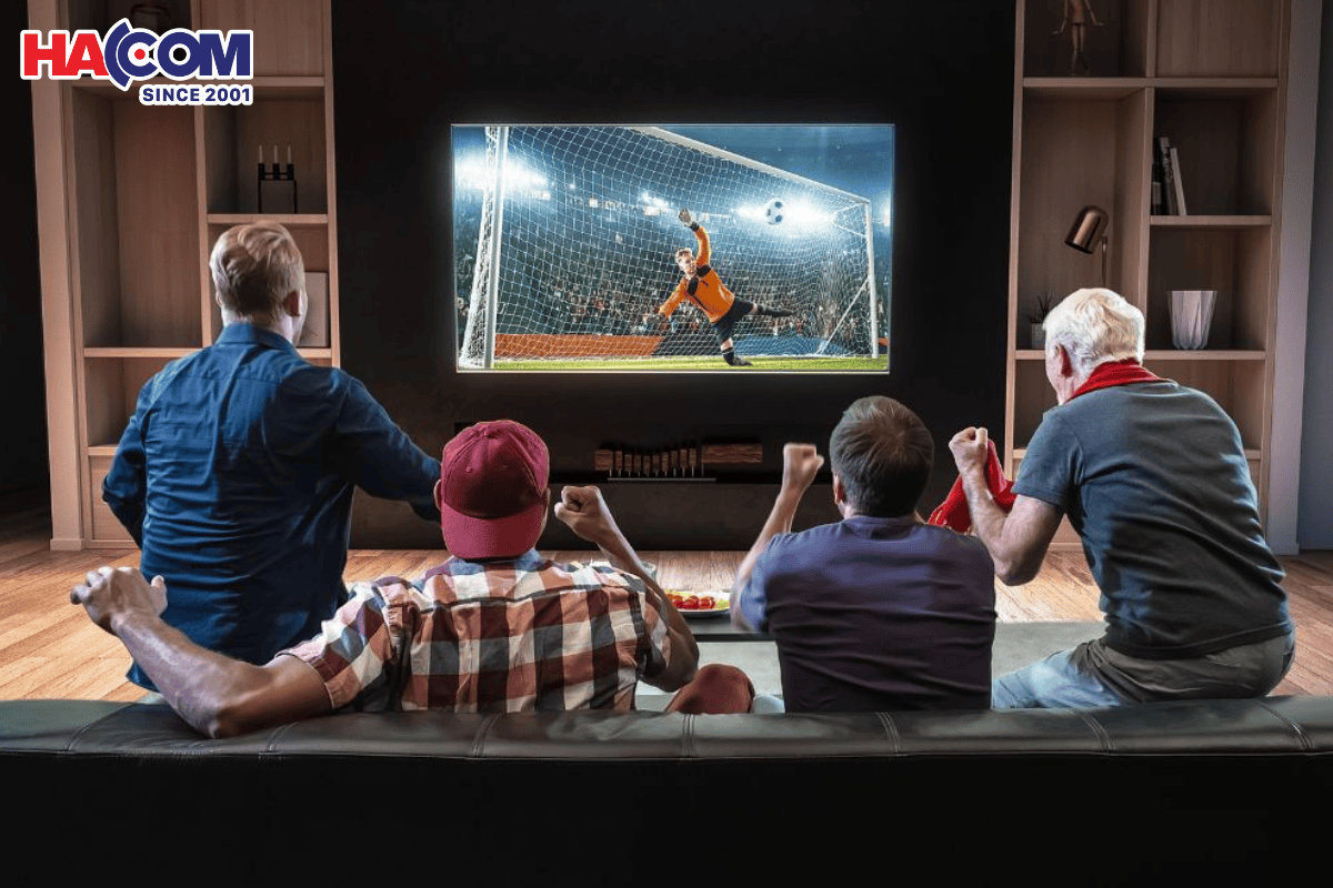 tu phong khach den khan dai fan bong da tim gi tai hacom 1