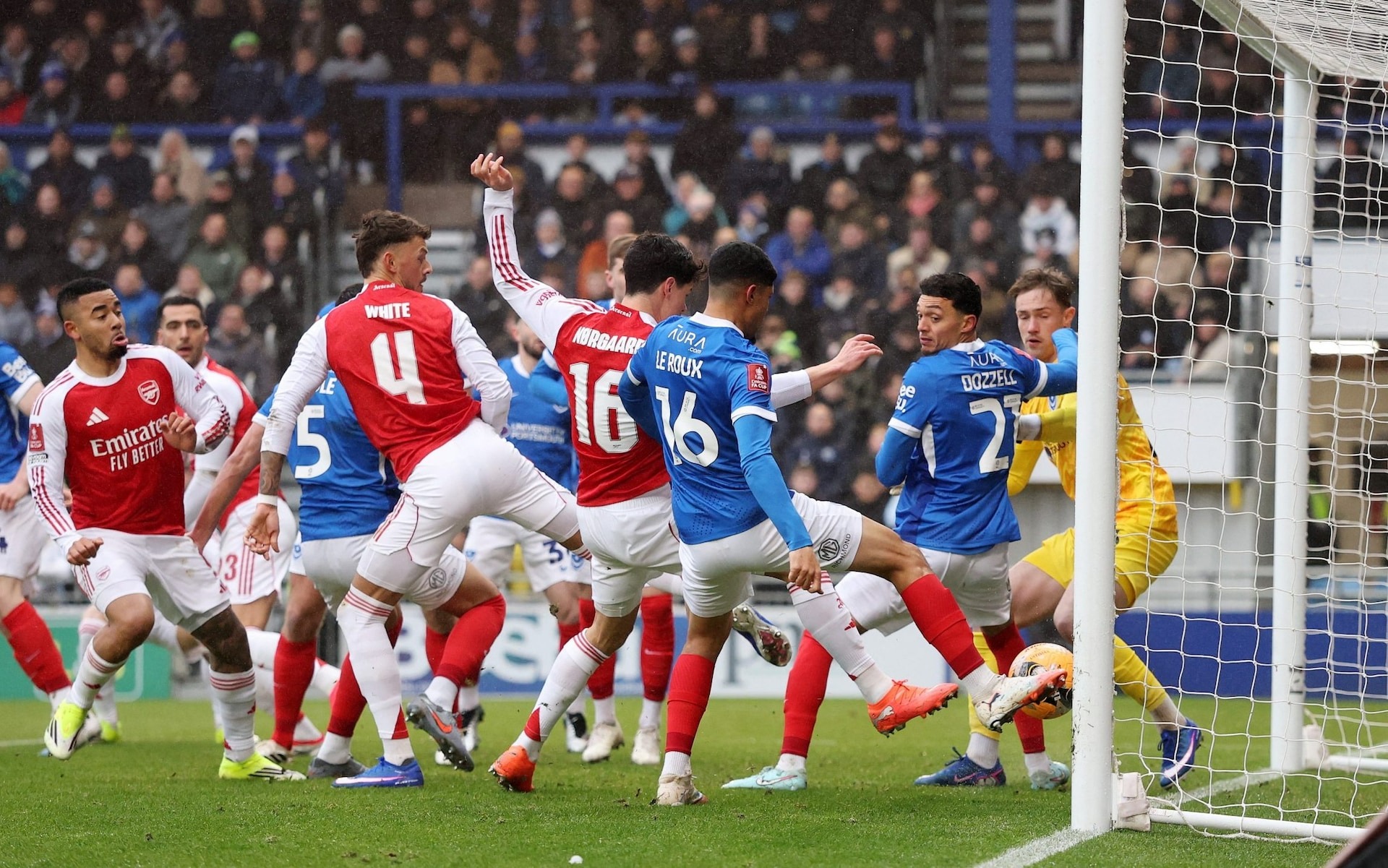 TELEMMGLPICT000456157061_1768141