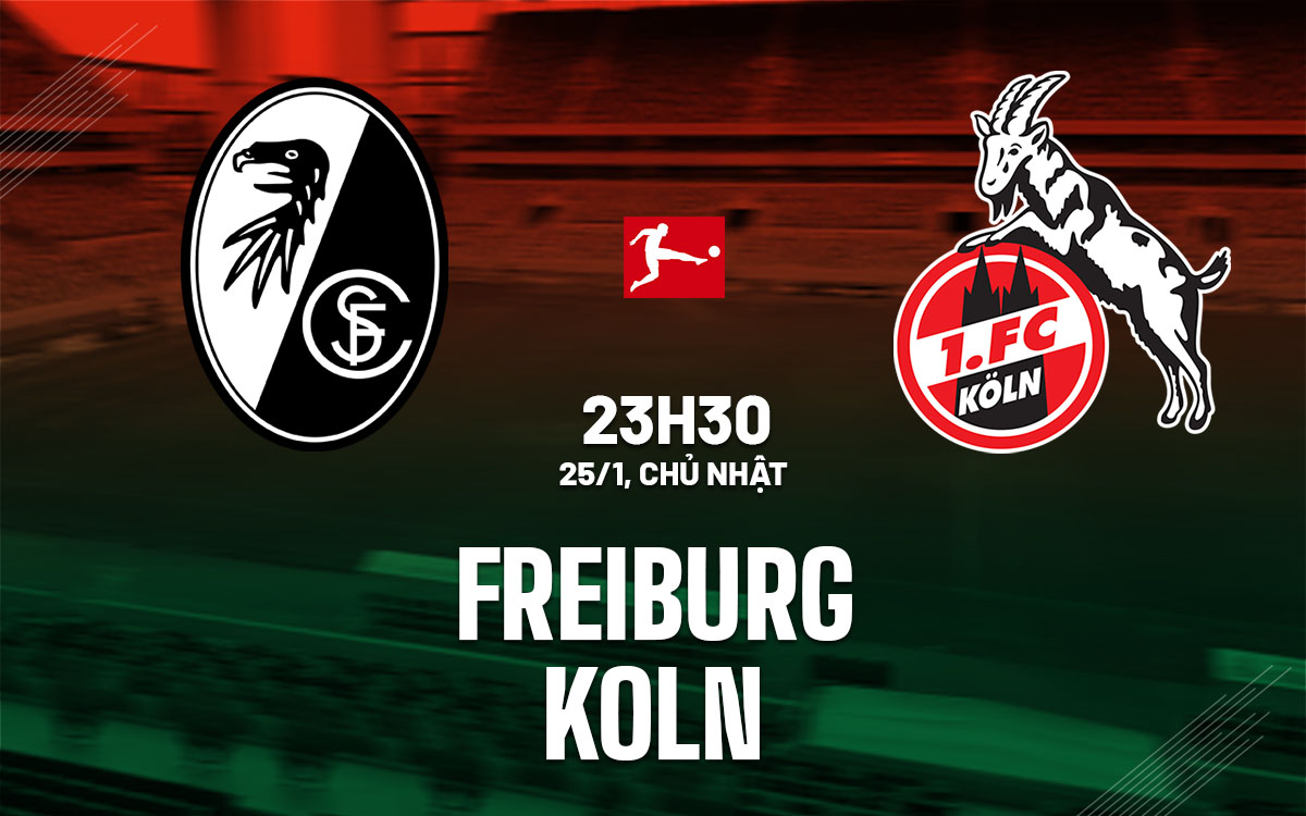 nhan dinh bong da du doan Freiburg vs Koln vdqg duc bundesliga hom nay nhan dinh bong da du doan Freiburg vs Koln vdqg duc bundesliga hom nay