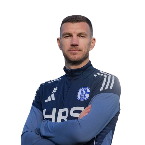 Edin Dzeko