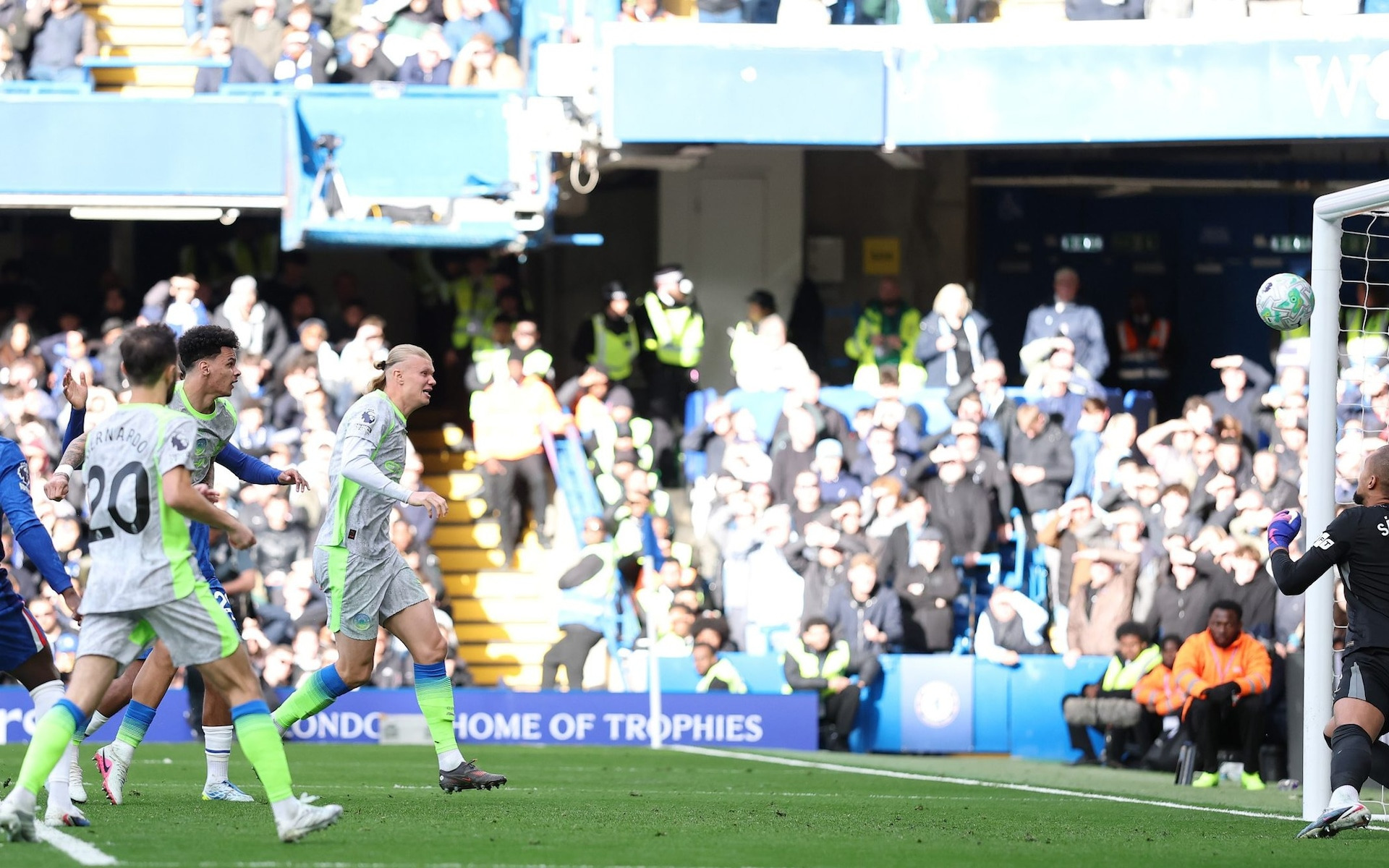 TELEMMGLPICT000478108666_1776012