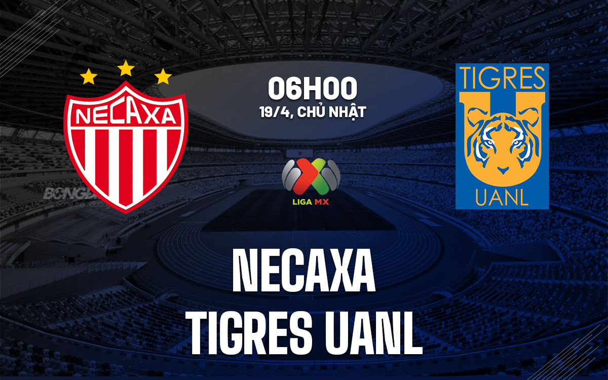 nhan dinh bong da du doan Necaxa vs Tigres UANL vdqg mexico hom nay
