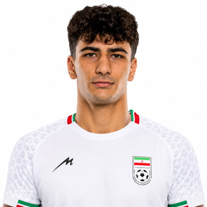 Amirmohammad Razzaghinia