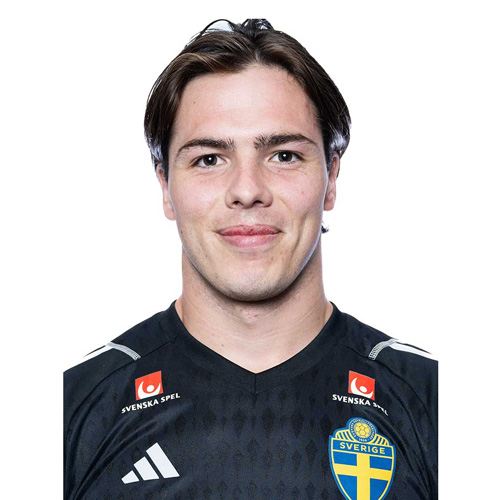 Jacob Widell Zetterstrom
