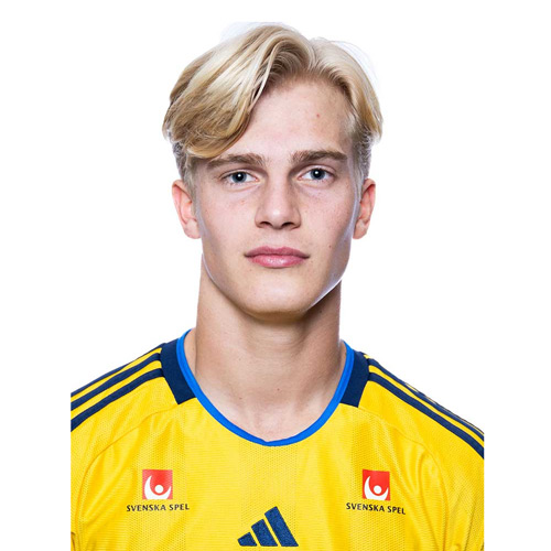 Lucas Bergvall