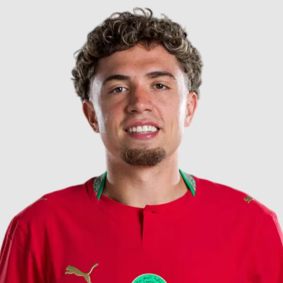 Neil El Aynaoui