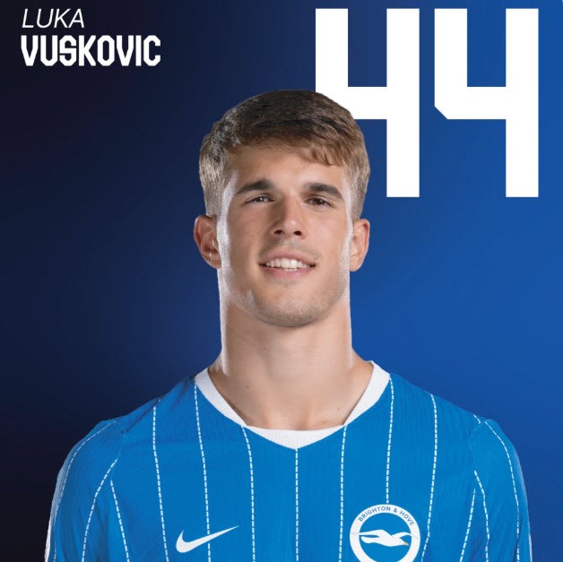 Luka Vuskovic