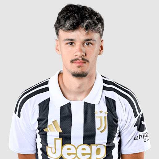 Kerim Alajbegovic
