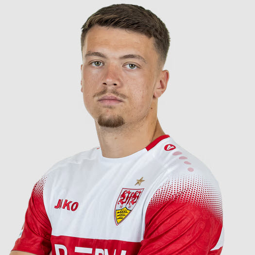 Dzenan Pejcinovic