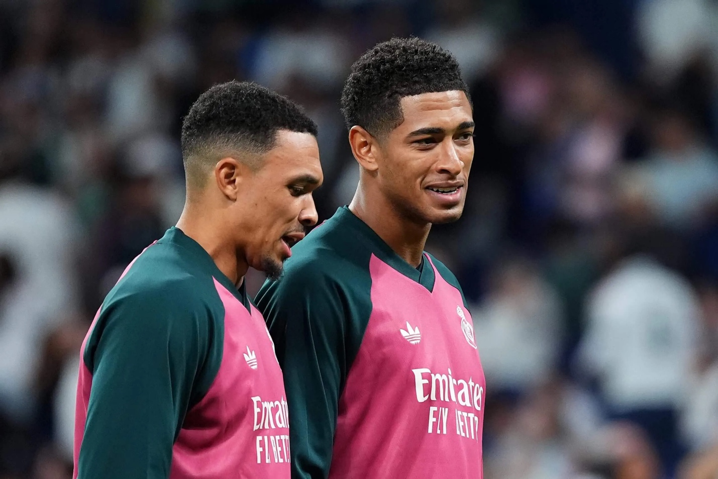 Fan Liverpool giờ đang cười hay đang tiếc cho Trent Alexander-Arnold 2 Fan Liverpool giờ đang cười hay đang tiếc cho Trent Alexander-Arnold 2