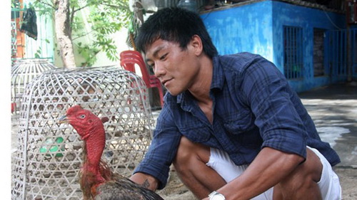 Thăm chuồng gà tiền tỷ của Quang Hải