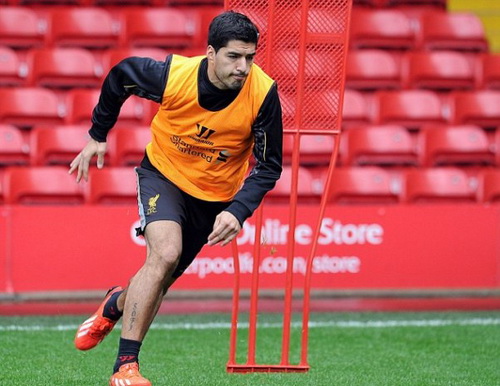 Liverpool sẽ tăng cường hỏa lực nhằm giữ chân Luis Suarez
