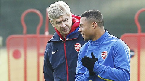 Arsenal: Walcott chấn thương, cơ hội cho Gnabry