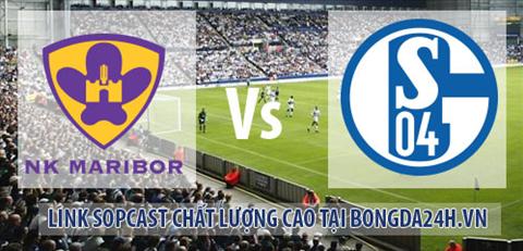 Link sopcast Maribor vs Schalke 04 (02h45-1112) hinh anh