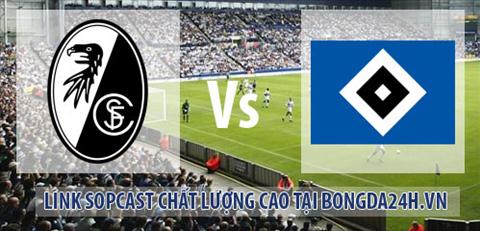 Link sopcast Freiburg vs Hamburger SV (21h30-1312) hinh anh