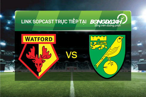 Watford vs Norwich hinh anh