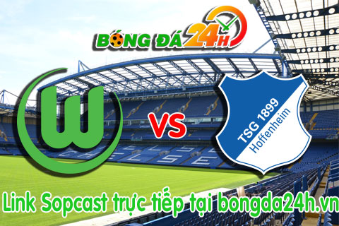 Link sopcast Wolfsburg vs Hoffenheim (21h30-0702) hinh anh