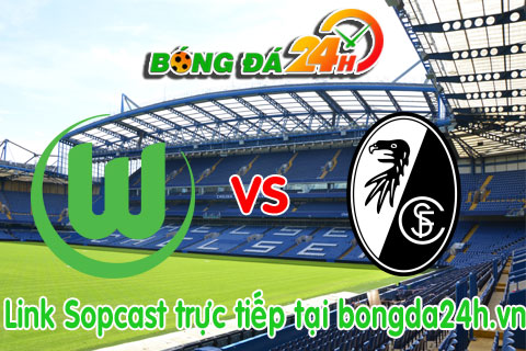 Link sopcast Wolfsburg vs Freiburg (21h30-1503) hinh anh