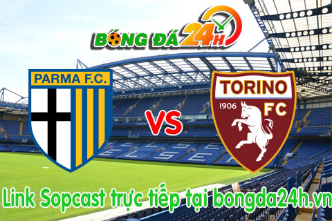 Link sopcast Parma vs Torino (02h45-2303) hinh anh