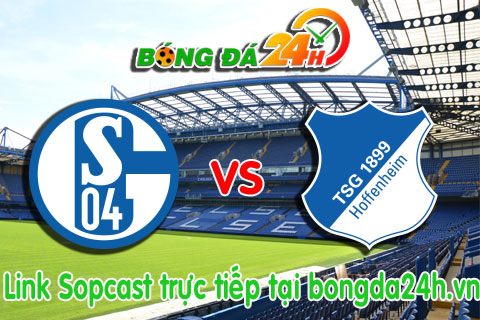 Link sopcast Schalke 04 vs Hoffenheim (21h30-0703) hinh anh