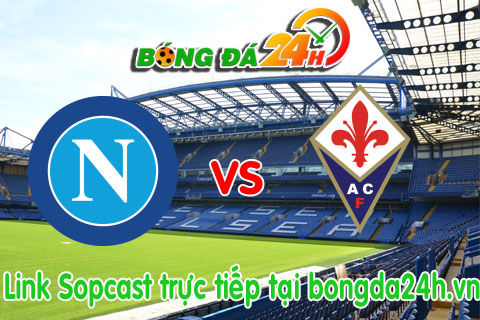 Link sopcast Napoli vs Fiorentina (20h00-1204) hinh anh