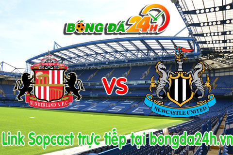 Sunderland vs Newcastle hinh anh