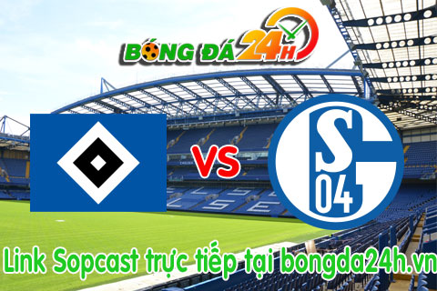 Link sopcast Hamburger vs Schalke 04 (20h30-2305) hinh anh