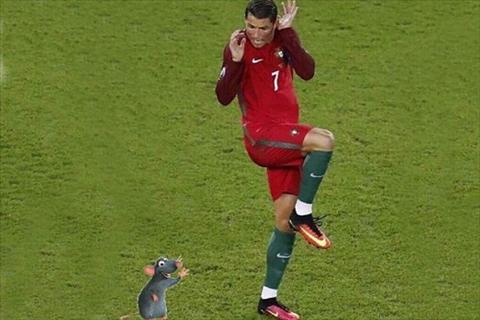 Cristiano Ronaldo hinh anh