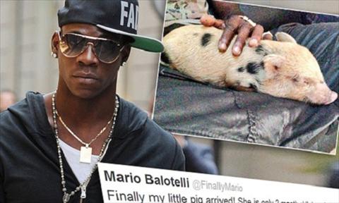 Mario Balotelli hinh anh