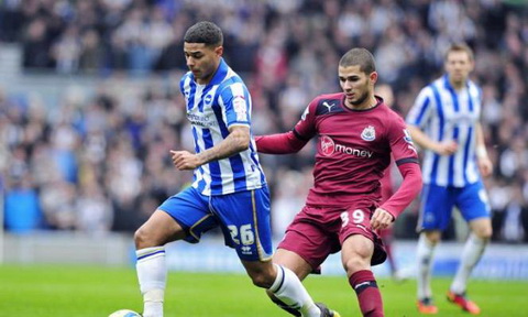 Nhận định Newcastle vs Brighton 21h00 ngày 2010 Premier League hình ảnh