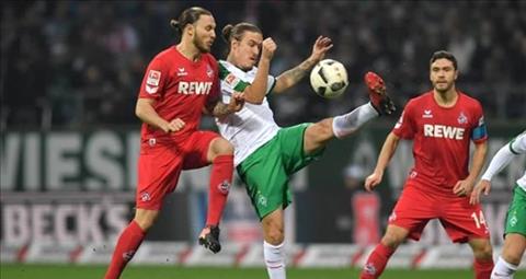Nhận định Cologne vs Bremen 18h30 ngày 22/10 (Bundesliga 2017/18)