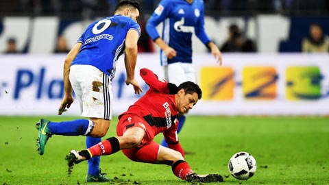 Augsburg vs Leverkusen 20h30 ngày 289 Bundesliga 201920 hình ảnh