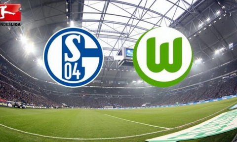 Nhan dinh Schalke vs Wolfsburg 20h30 ngay 84 (Bundesliga 201617) hinh anh