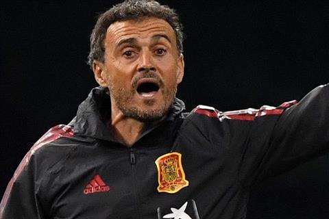 HLV Luis Enrique ca ngợi Gareth Southgate trước màn tái đấu hình ảnh