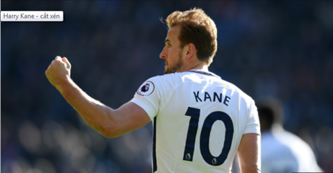 Harry Kane du suc ra san trong tran dau Stoke vs Tottenham