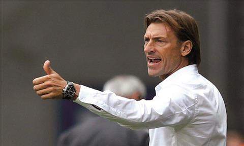 HLV Herve Renard: Từ kẻ thất bại ở V-League đến sân chơi World Cup