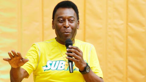 Chuyện thú vị về những chim lợn mùa World Cup