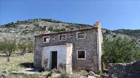 Thước phim hiếm về cậu bé Luka Modric 5 tuổi chăn cừu giữa bầy sói