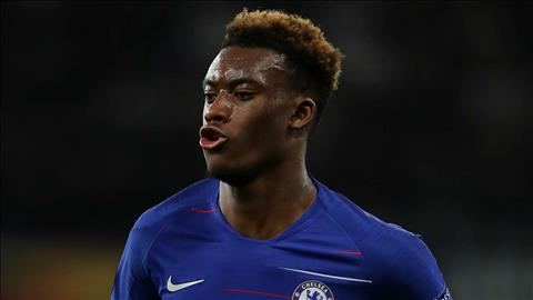 Chi 35 triệu bảng, PSG muốn mua Callum Hudson-Odoi hình ảnh