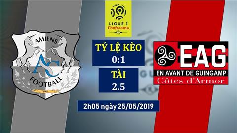 Amiens vs Guingamp 2h05 ngày 255 (Ligue 1 201819) hình ảnh