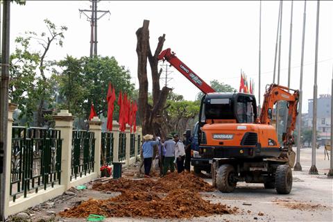 Ben ngoai san, cac cay xanh cung duoc trong moi de chao don su kien.