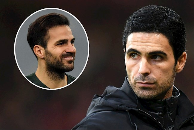 Cesc Fabregas có vài lời muốn gửi HLV Mikel Arteta